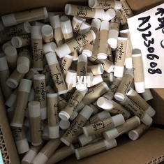 Los ricos orgánicos adultos SPF 15 de la humedad del protector labial de la menta protegen los labios contra rayos de UVA UVB