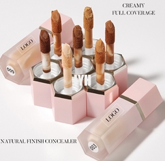 8 ml de productos OEM para el cuidado de la piel Neutral sin logotipo Conveyor 10 Color Liquid Spot Foundation