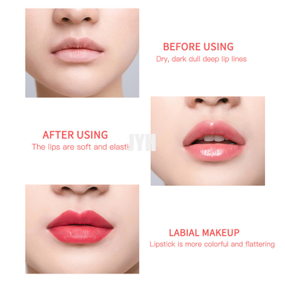 El labio de aligeramiento del OEM friega bálsamo de labios rosado de Exfoliator y friega 10g