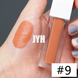 prenda impermeable duradera Matte Lipstick Red Pink de la barra de labios 3g
