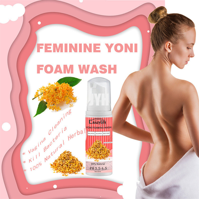 Lavado femenino que hace espuma natural de la balanza pH para picar áreas íntimas
