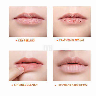 Reparación hidratante natural del protector labial Exfoliating cuidado diario del protector labial más regordete orgánico del vegano