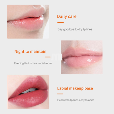 Tratamiento brillante hidratante suave de alimentación del vegano natural del protector labial de la etiqueta privada del OEM