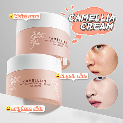 60G Productos OEM para el cuidado de la piel Flor de Camelia Anti-oxidante Reparación humectante Crema facial